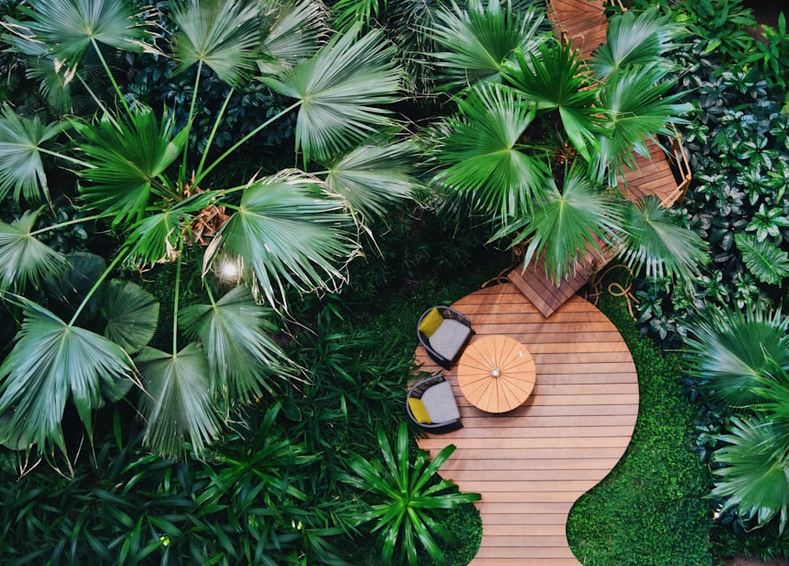 Maintaining Your Deck Year-Round